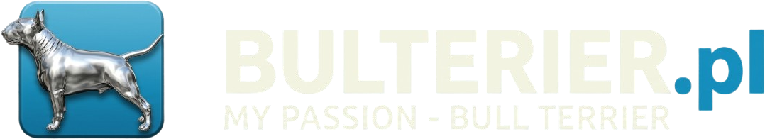Bulterier.pl